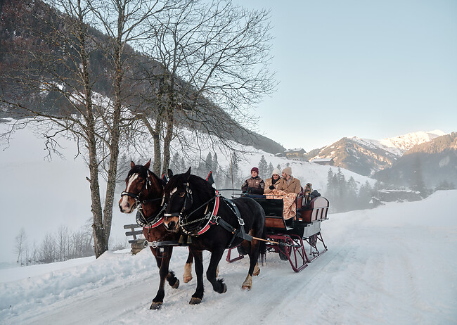 Pferde Kutschenfahrt in den Bergen buchen